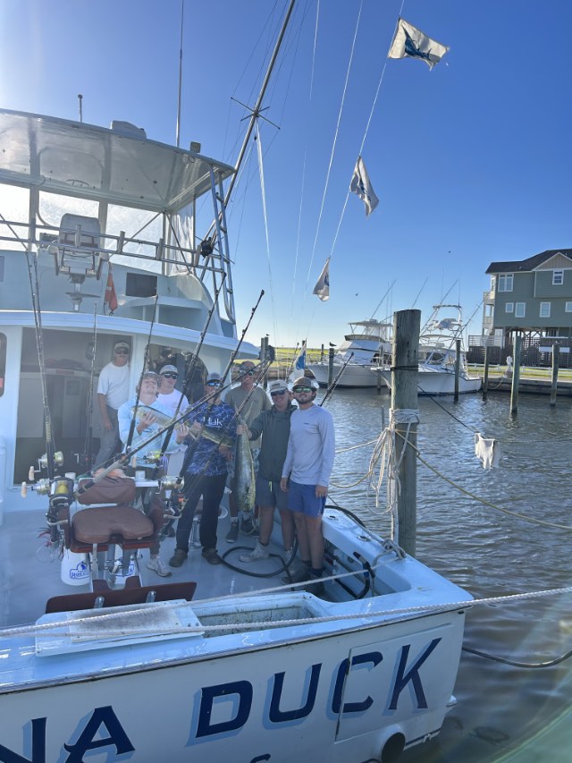 Three sailfish releases.