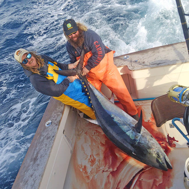 Bluefin tuna caught off Cape Hatteras NC