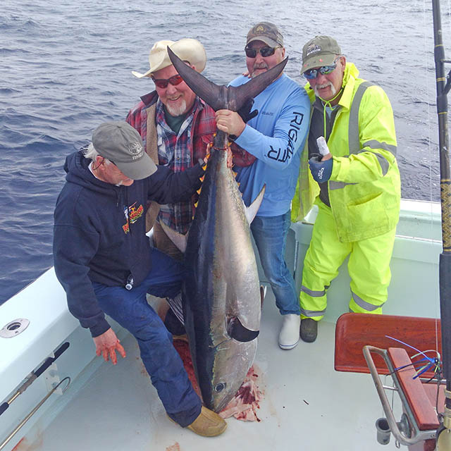 Offshore anglers in the cockpit with their bluefin tuna