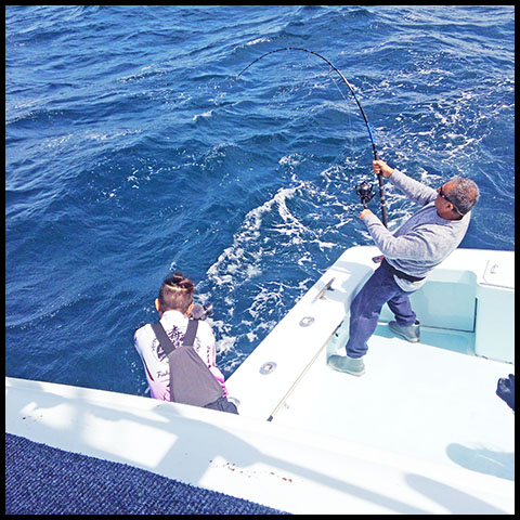 angler fishing for bluefin tunas on light stand up tackle