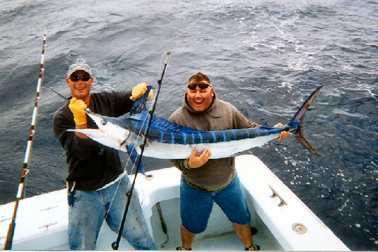 white marlin boated