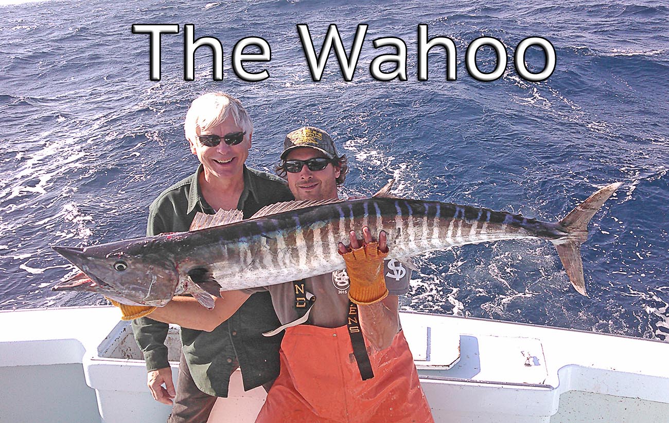 a happy offshore fisherman catches a wahoo